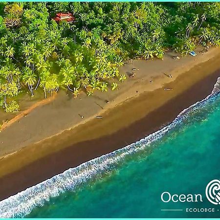 Ocean Forest Ecolodge San Pedrillo Eksteriør bilde