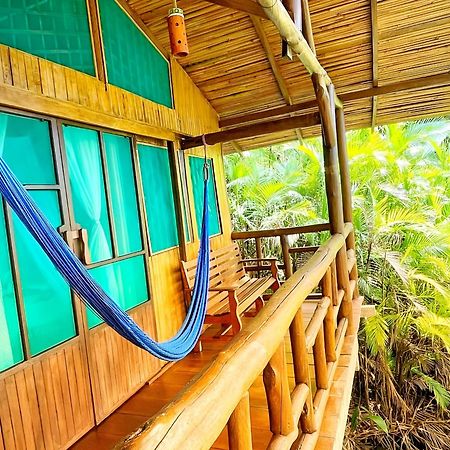 Ocean Forest Ecolodge San Pedrillo Eksteriør bilde