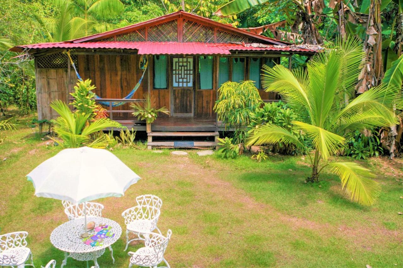Ocean Forest Ecolodge San Pedrillo Eksteriør bilde