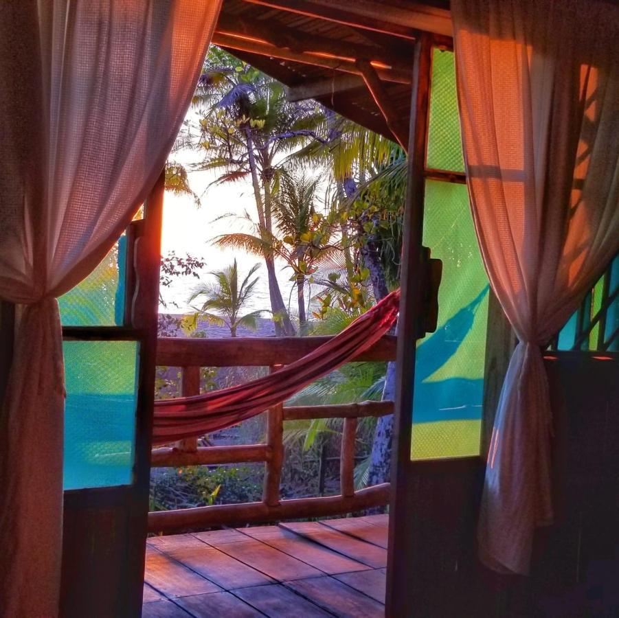 Ocean Forest Ecolodge San Pedrillo Eksteriør bilde
