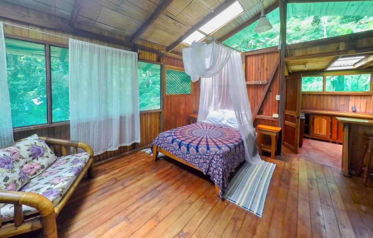 Ocean Forest Ecolodge San Pedrillo Eksteriør bilde