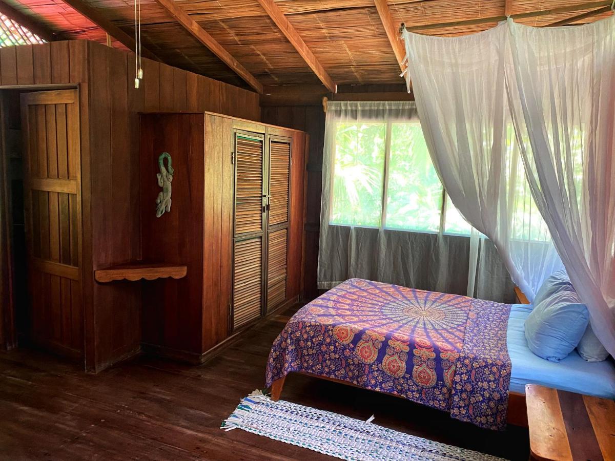 Ocean Forest Ecolodge San Pedrillo Eksteriør bilde
