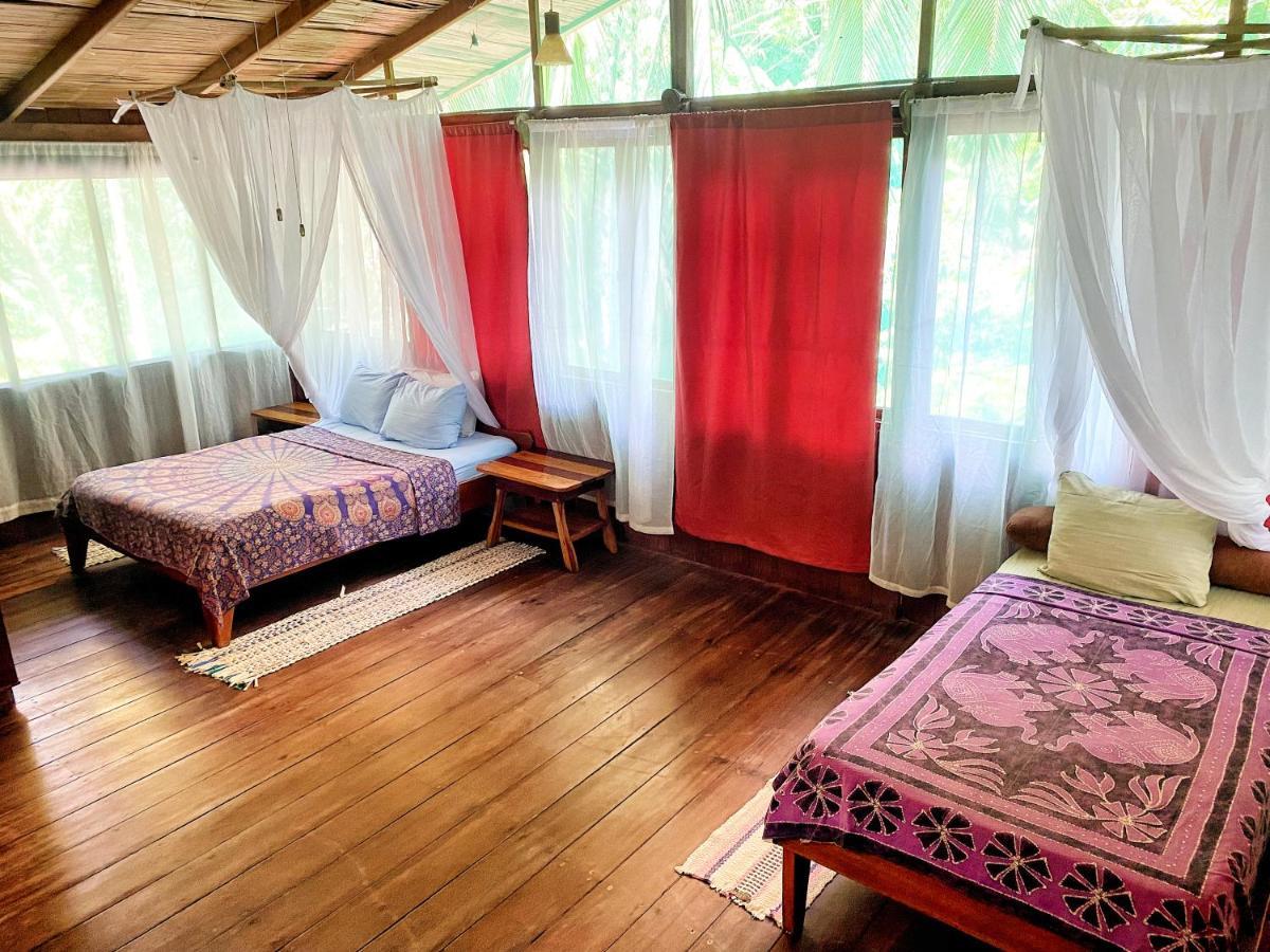 Ocean Forest Ecolodge San Pedrillo Eksteriør bilde