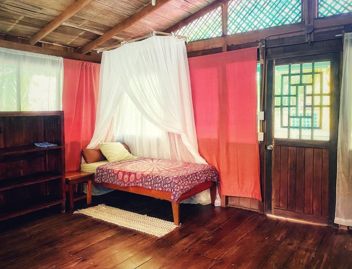 Ocean Forest Ecolodge San Pedrillo Eksteriør bilde