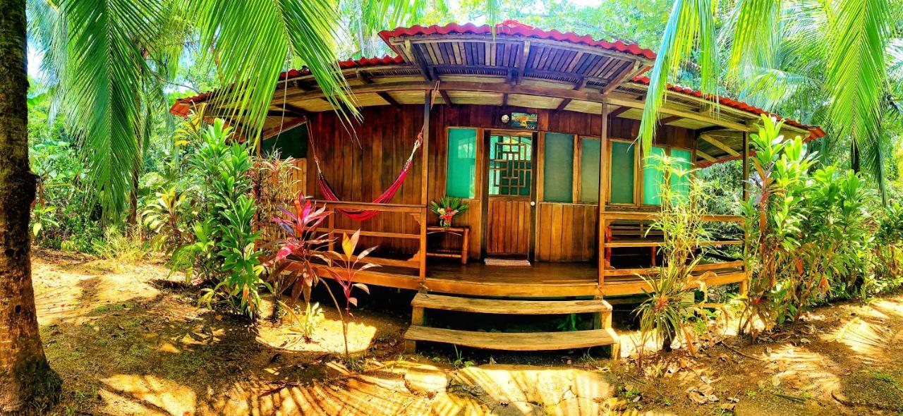 Ocean Forest Ecolodge San Pedrillo Eksteriør bilde