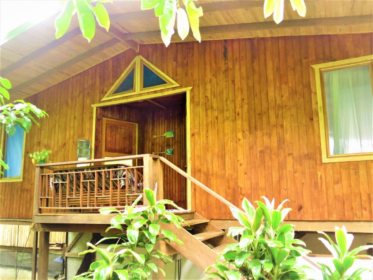 Ocean Forest Ecolodge San Pedrillo Eksteriør bilde