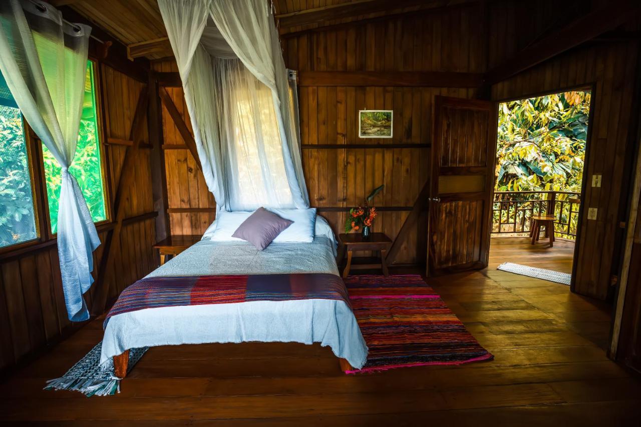 Ocean Forest Ecolodge San Pedrillo Eksteriør bilde
