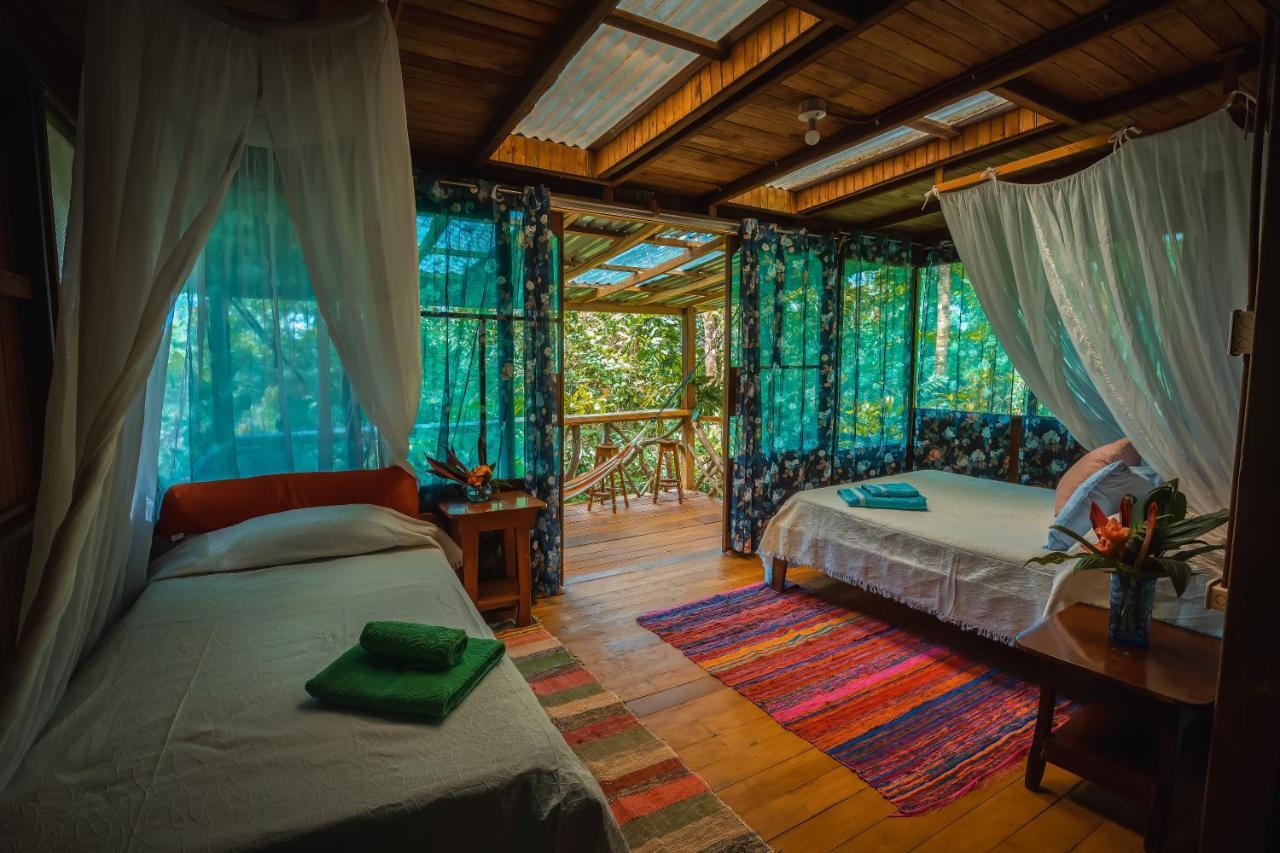 Ocean Forest Ecolodge San Pedrillo Eksteriør bilde