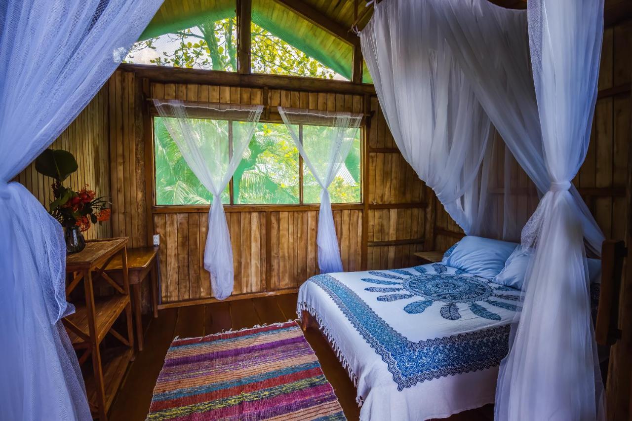 Ocean Forest Ecolodge San Pedrillo Eksteriør bilde