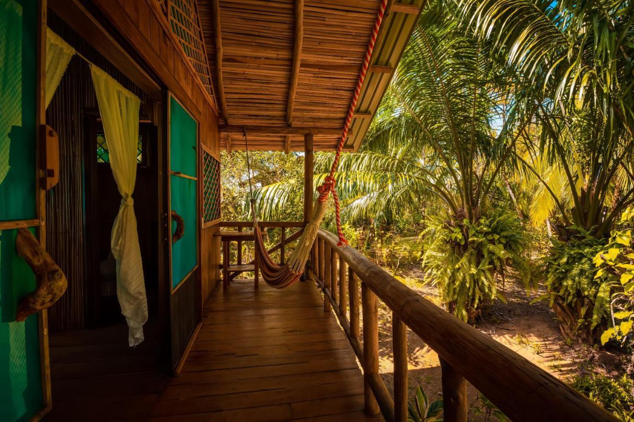 Ocean Forest Ecolodge San Pedrillo Eksteriør bilde