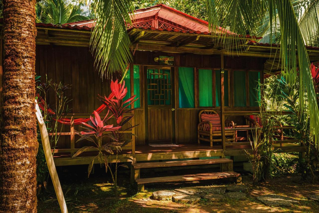 Ocean Forest Ecolodge San Pedrillo Eksteriør bilde