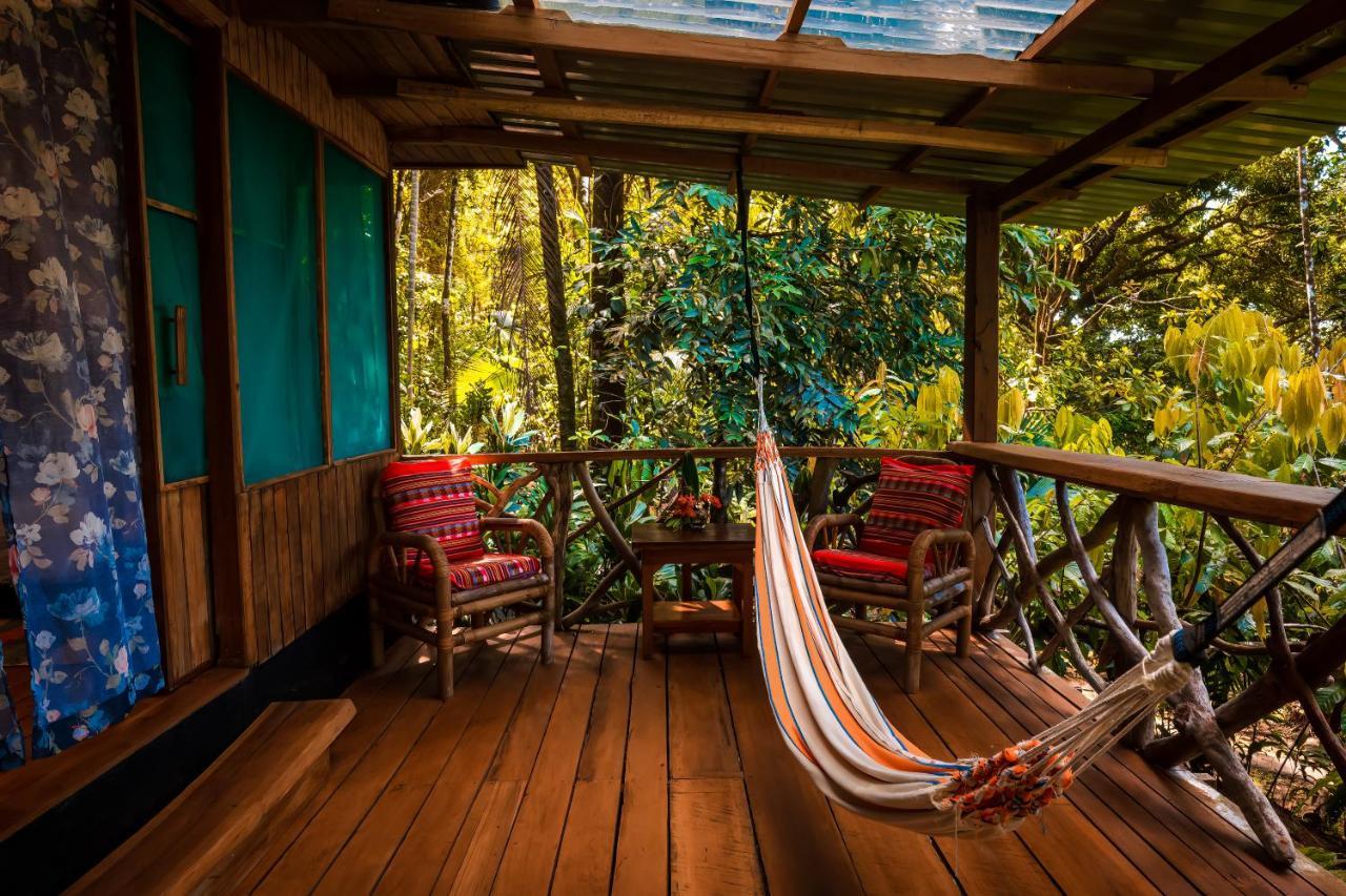 Ocean Forest Ecolodge San Pedrillo Eksteriør bilde