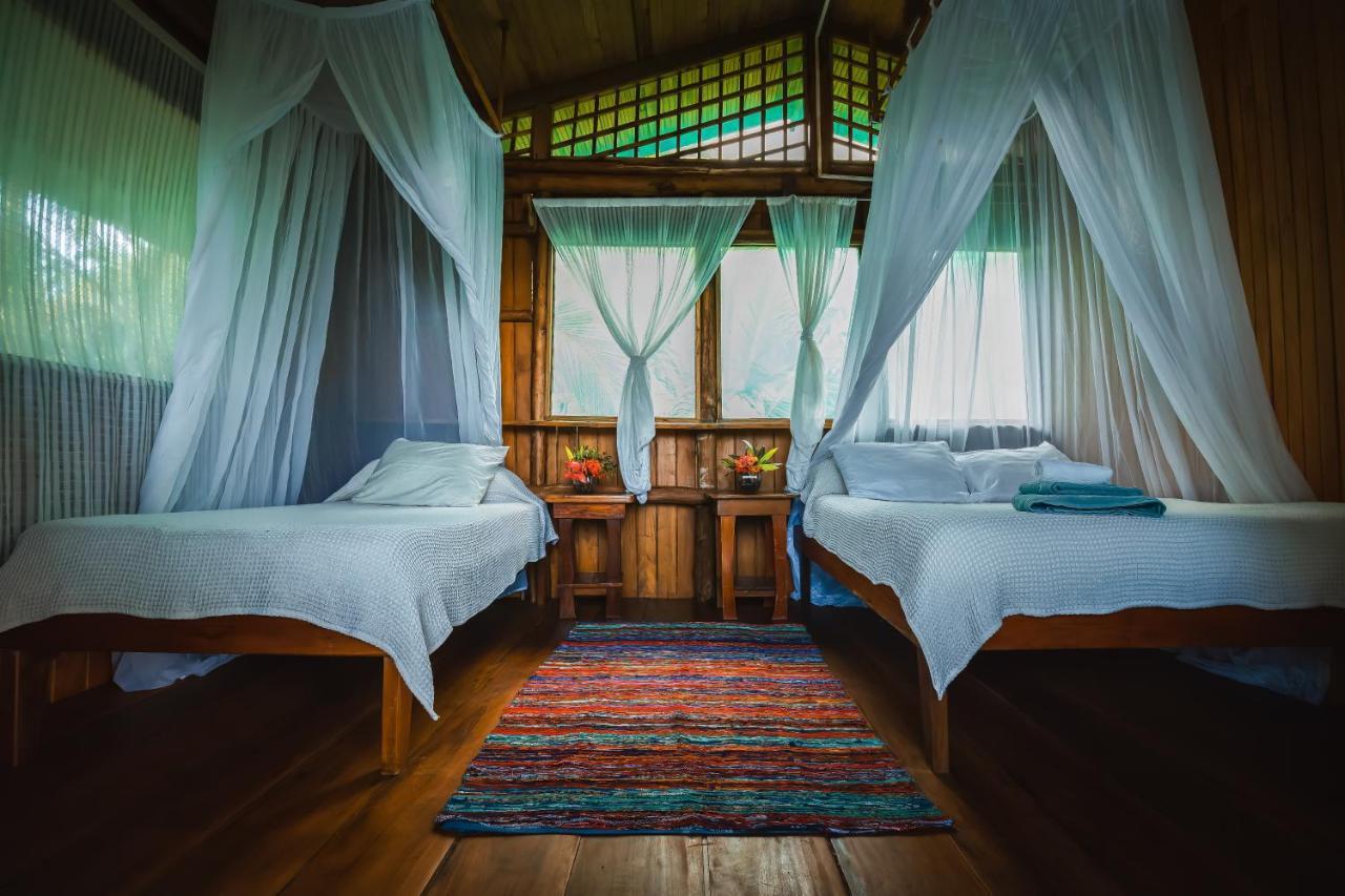 Ocean Forest Ecolodge San Pedrillo Eksteriør bilde