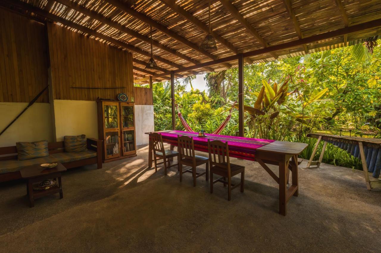 Ocean Forest Ecolodge San Pedrillo Eksteriør bilde