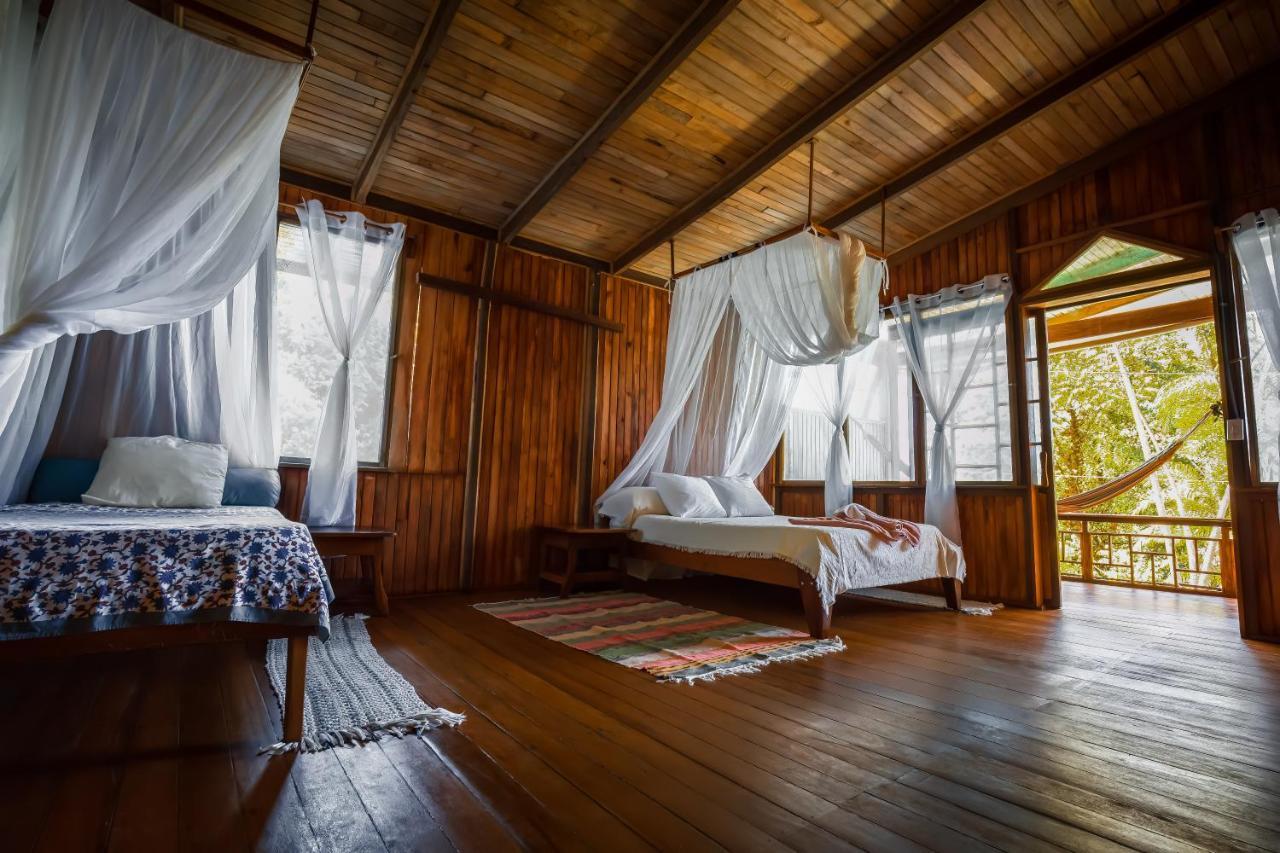 Ocean Forest Ecolodge San Pedrillo Eksteriør bilde