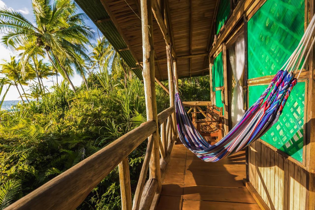 Ocean Forest Ecolodge San Pedrillo Eksteriør bilde