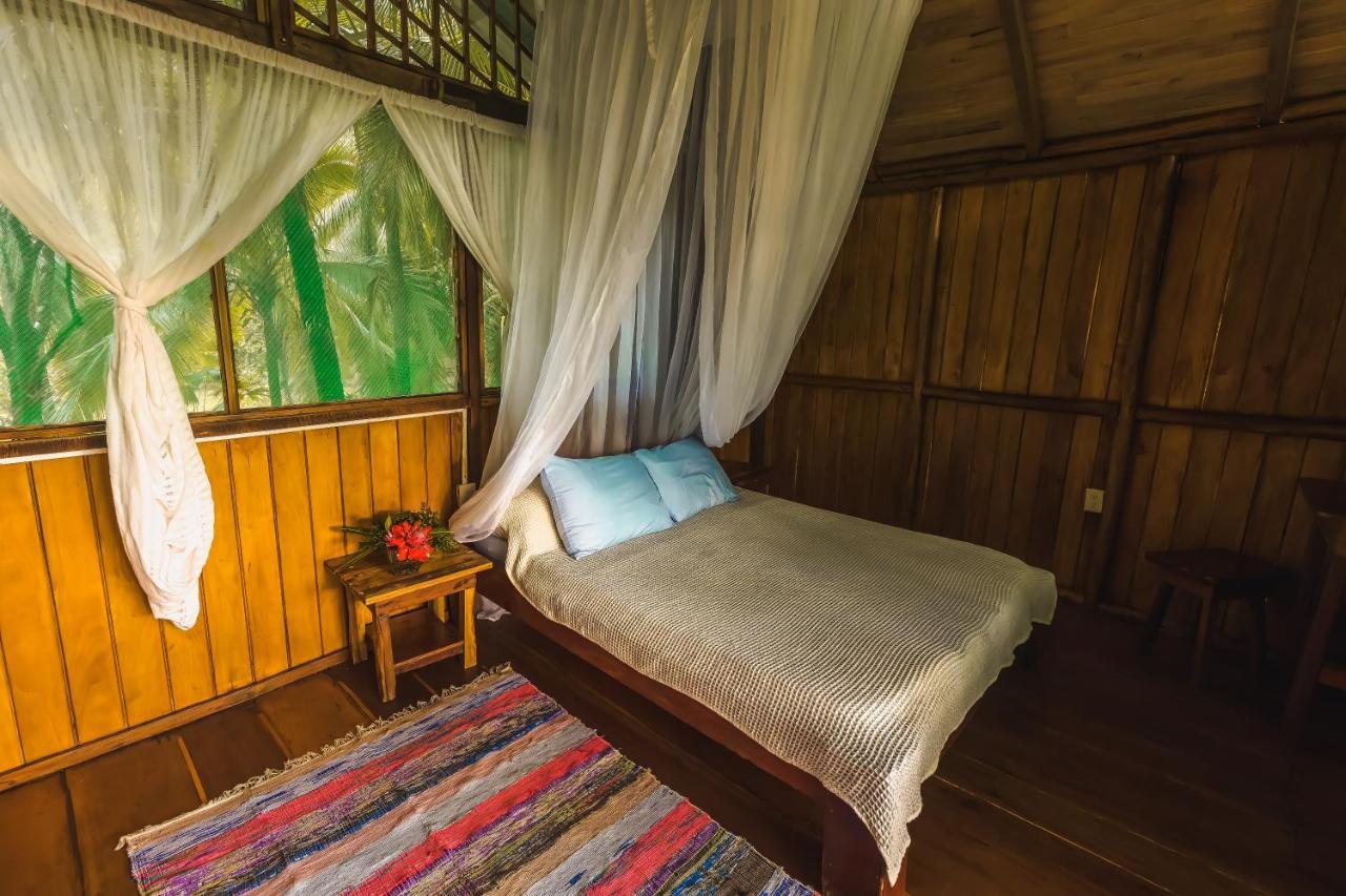 Ocean Forest Ecolodge San Pedrillo Eksteriør bilde