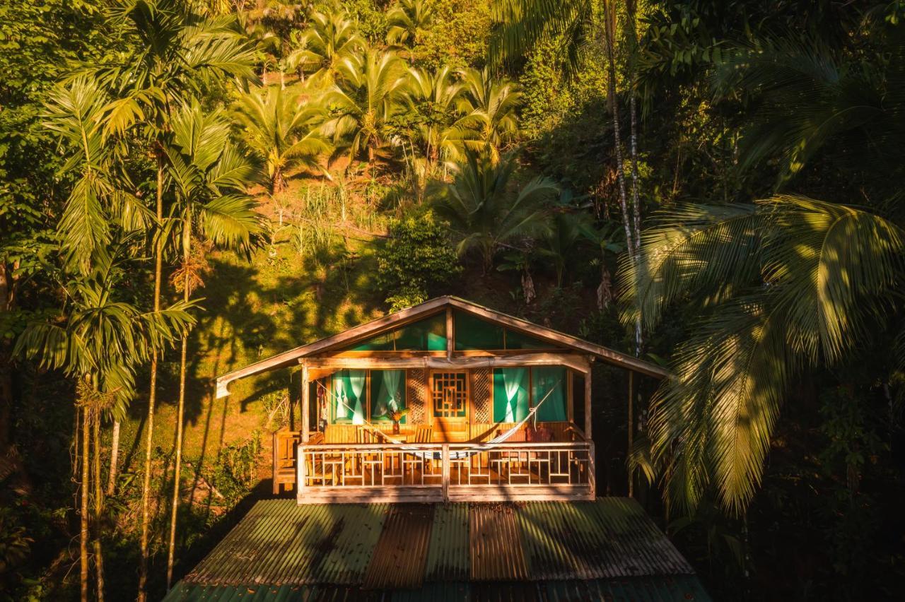 Ocean Forest Ecolodge San Pedrillo Eksteriør bilde