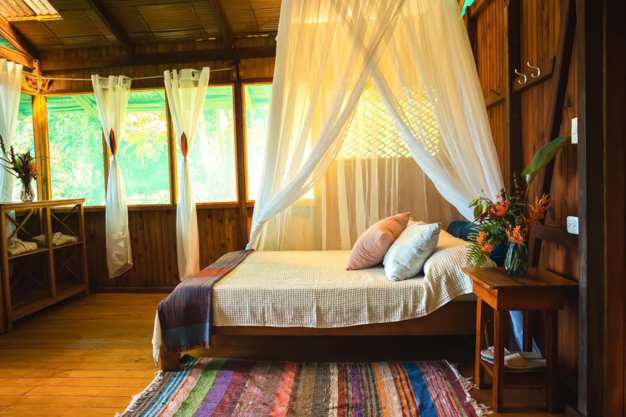 Ocean Forest Ecolodge San Pedrillo Eksteriør bilde