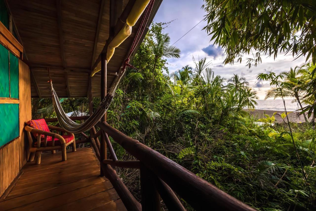 Ocean Forest Ecolodge San Pedrillo Eksteriør bilde