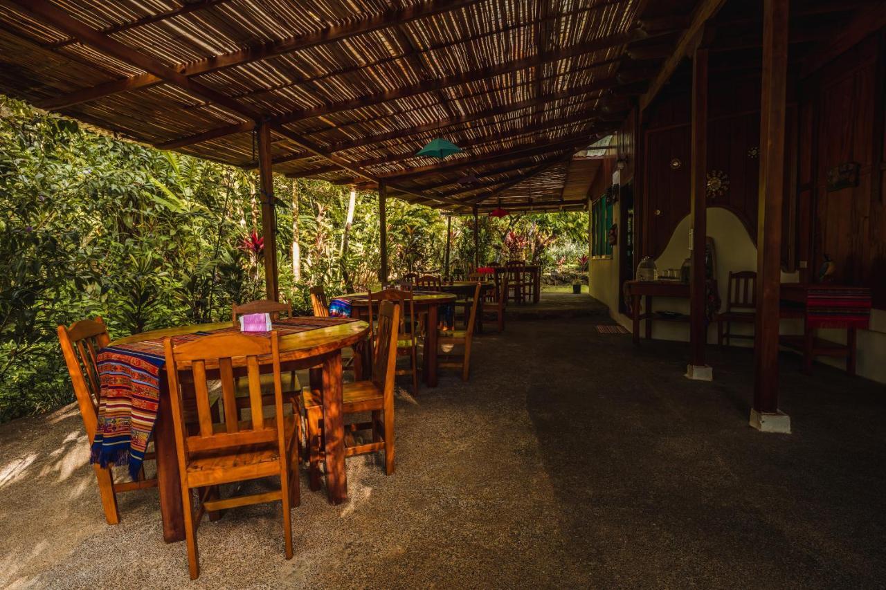 Ocean Forest Ecolodge San Pedrillo Eksteriør bilde