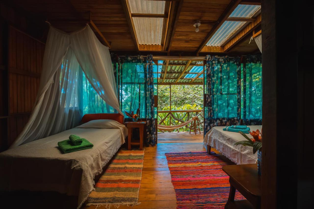 Ocean Forest Ecolodge San Pedrillo Eksteriør bilde