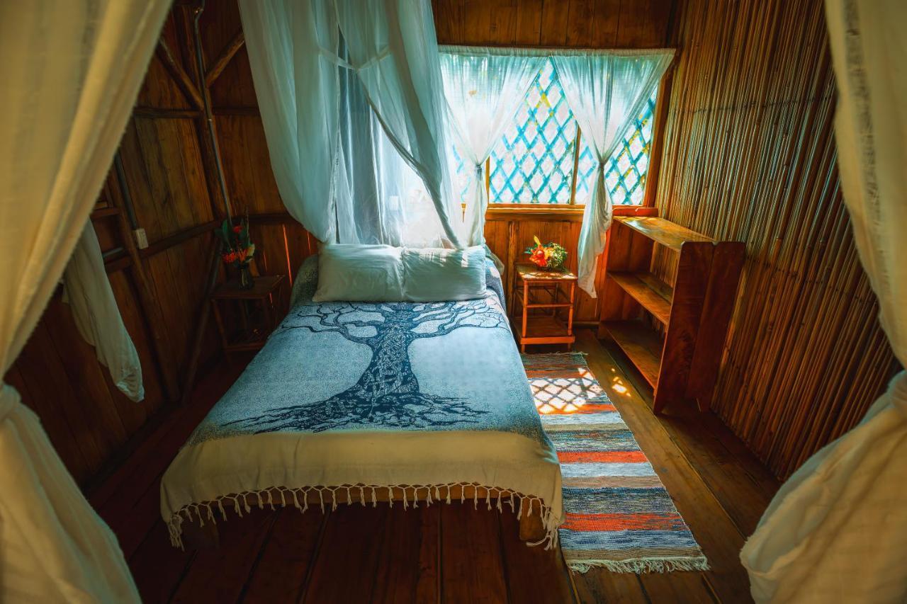 Ocean Forest Ecolodge San Pedrillo Eksteriør bilde