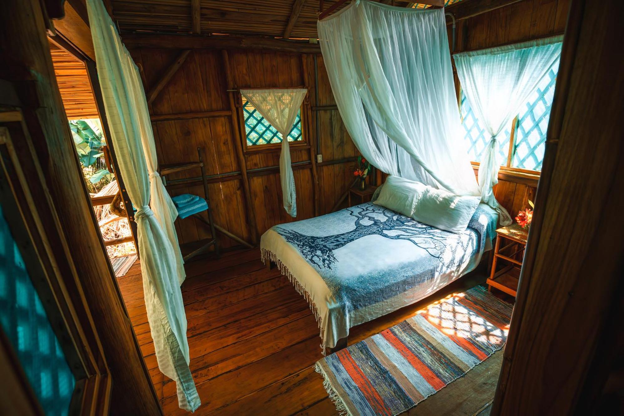 Ocean Forest Ecolodge San Pedrillo Eksteriør bilde