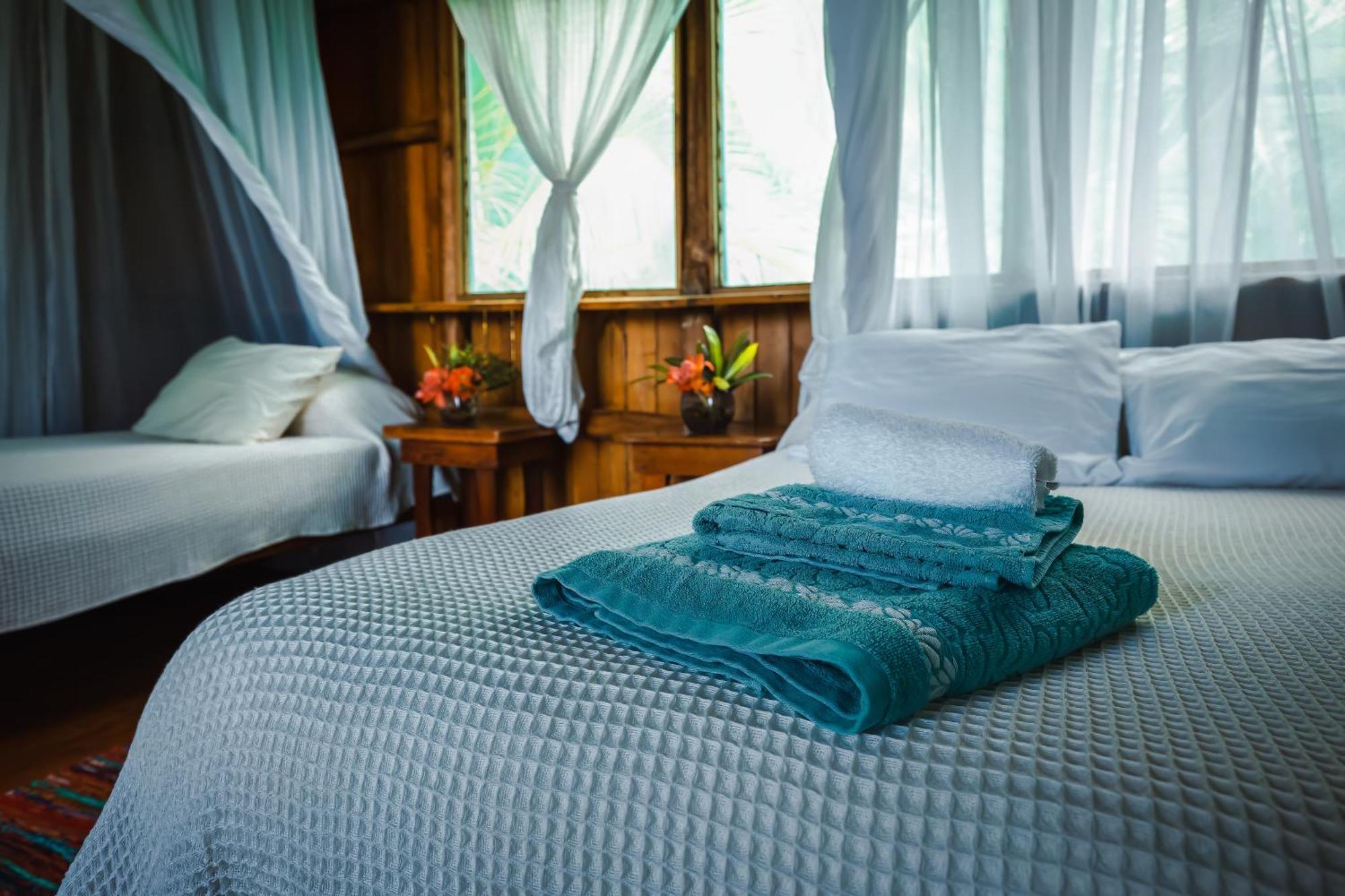 Ocean Forest Ecolodge San Pedrillo Eksteriør bilde