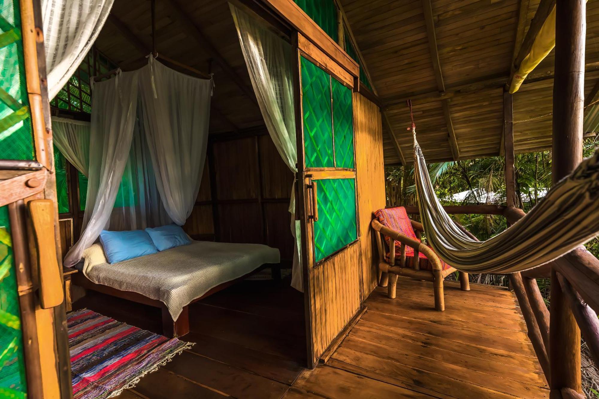 Ocean Forest Ecolodge San Pedrillo Eksteriør bilde