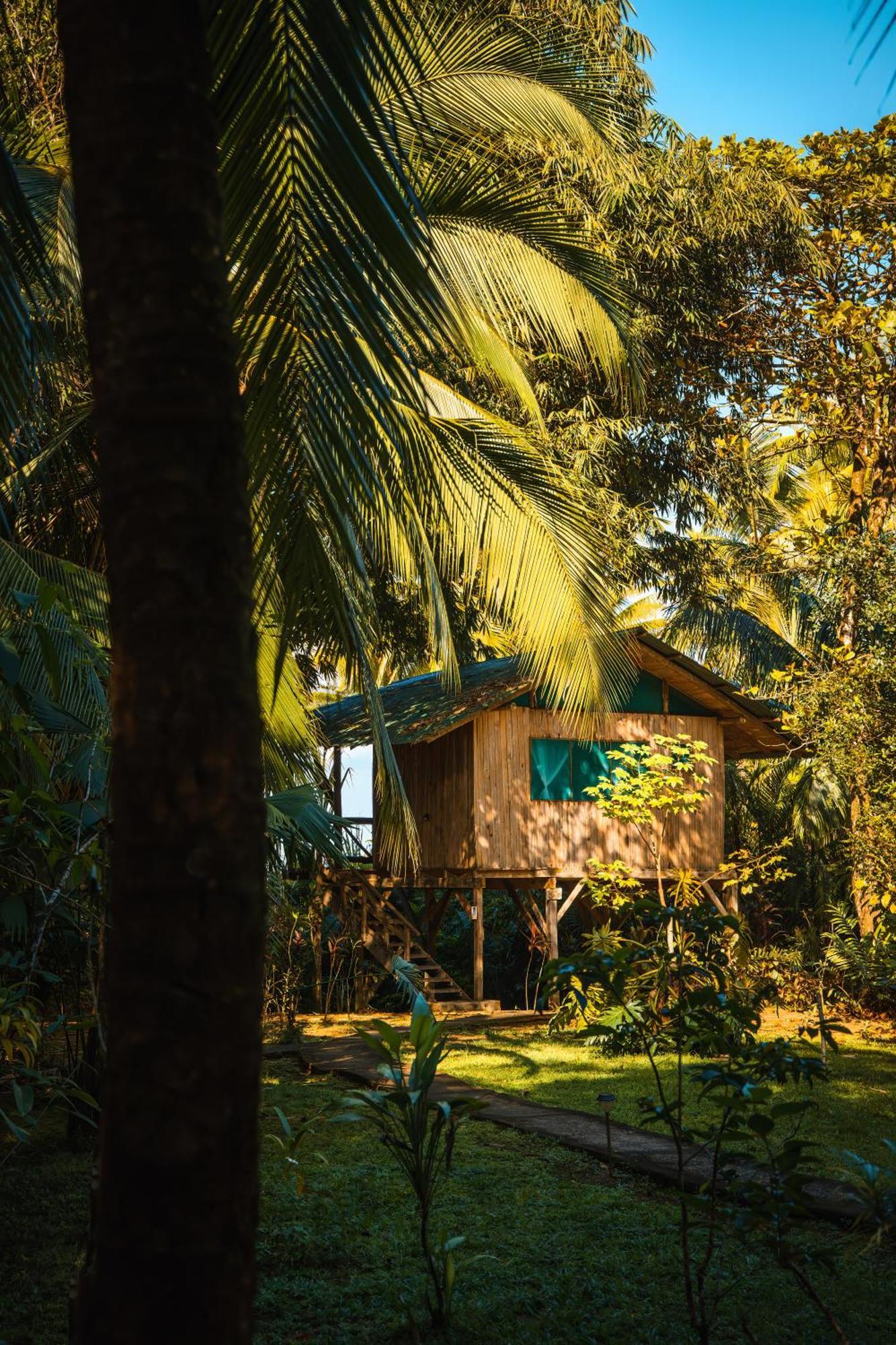 Ocean Forest Ecolodge San Pedrillo Eksteriør bilde