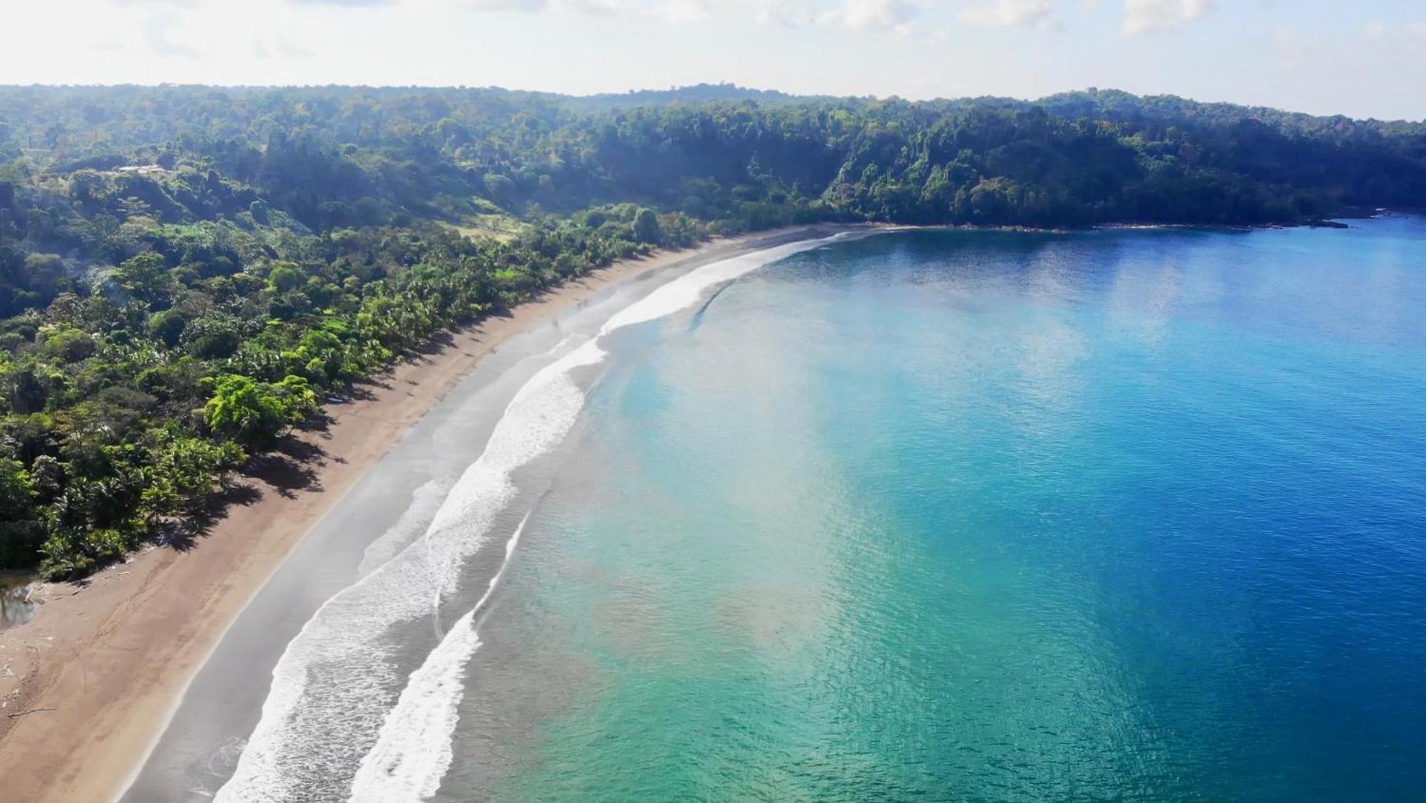Ocean Forest Ecolodge San Pedrillo Eksteriør bilde