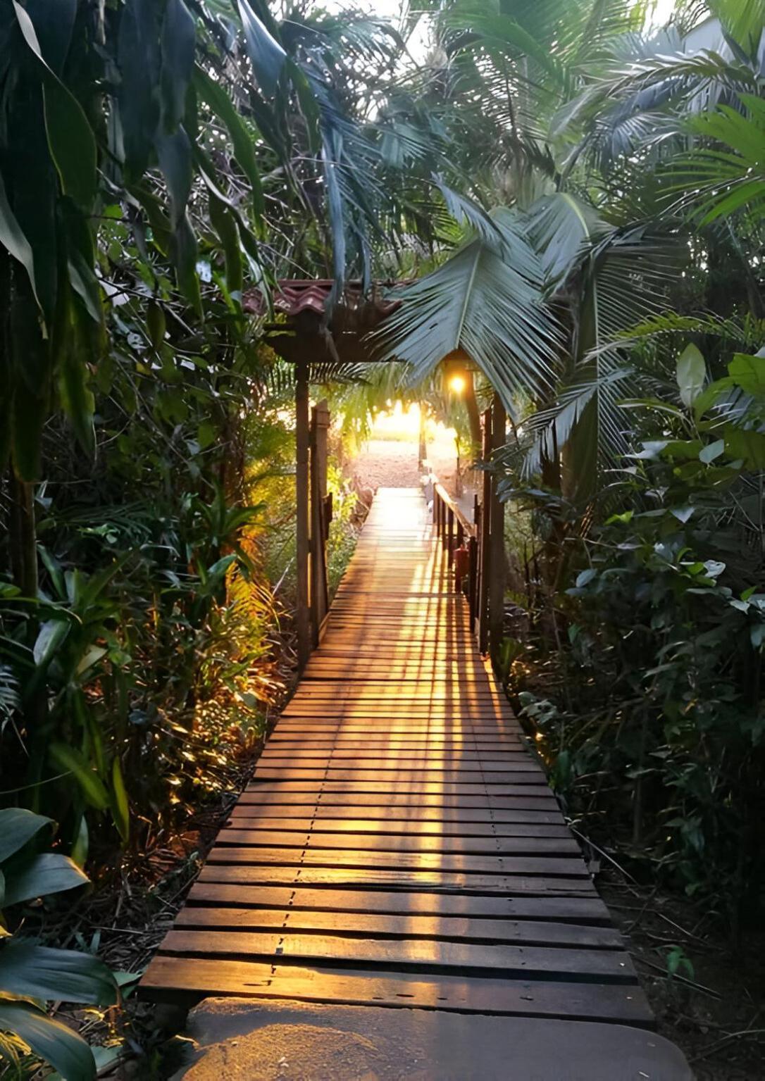 Ocean Forest Ecolodge San Pedrillo Eksteriør bilde