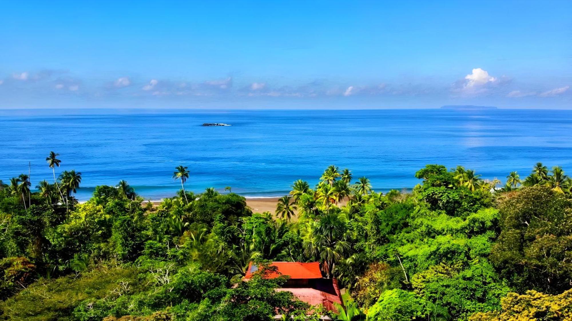 Ocean Forest Ecolodge San Pedrillo Eksteriør bilde