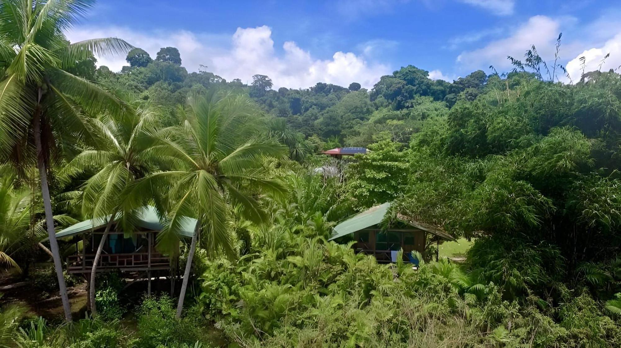 Ocean Forest Ecolodge San Pedrillo Eksteriør bilde