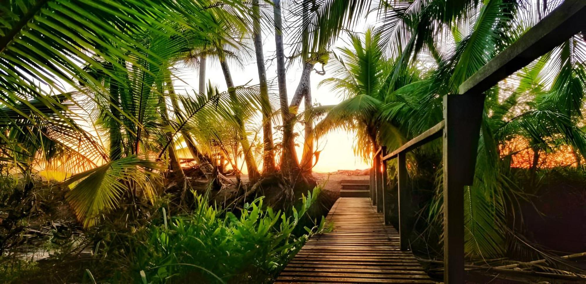 Ocean Forest Ecolodge San Pedrillo Eksteriør bilde