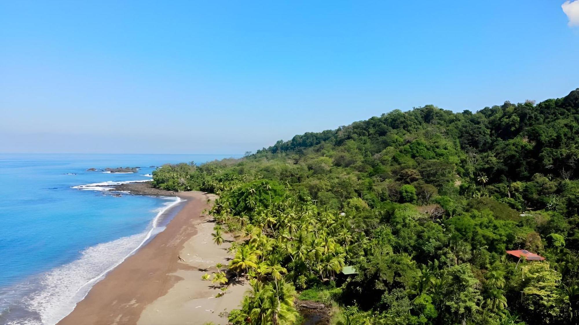 Ocean Forest Ecolodge San Pedrillo Eksteriør bilde