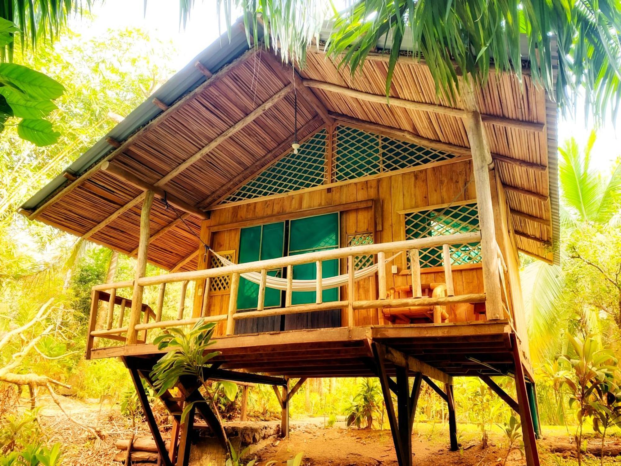 Ocean Forest Ecolodge San Pedrillo Eksteriør bilde